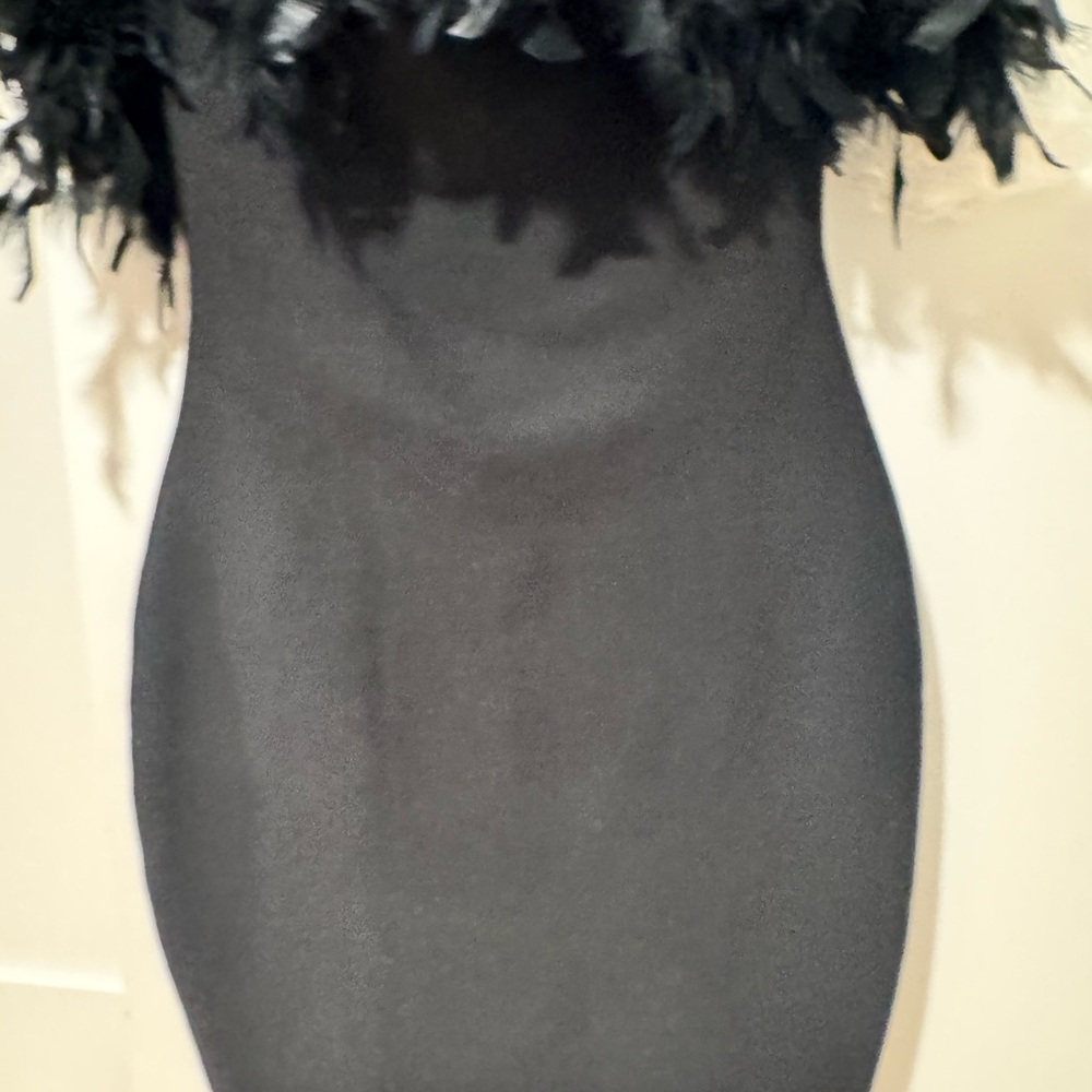 Black Feather Trim Dress - Picture 6 of 10